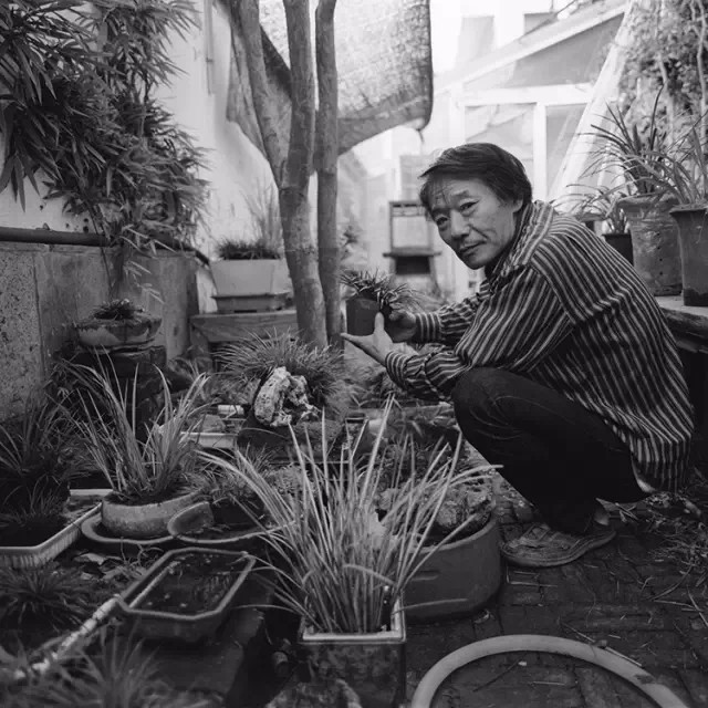 15477067358506651.jpg 15477067358506651.jpg