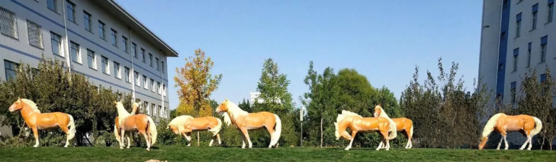 赤峰蒙中校園景觀雕塑“發(fā)揚蒙古馬精神” ?